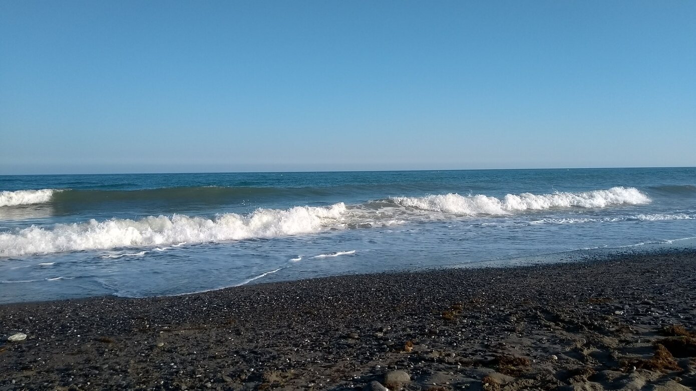 2019_1